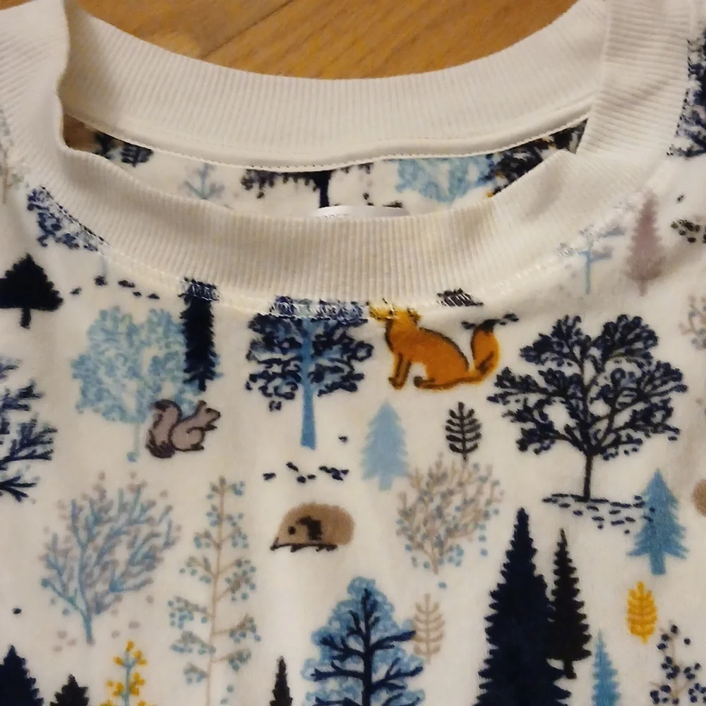 Secret Treasures pj's womens size small 4-6 Winter wonderland scene